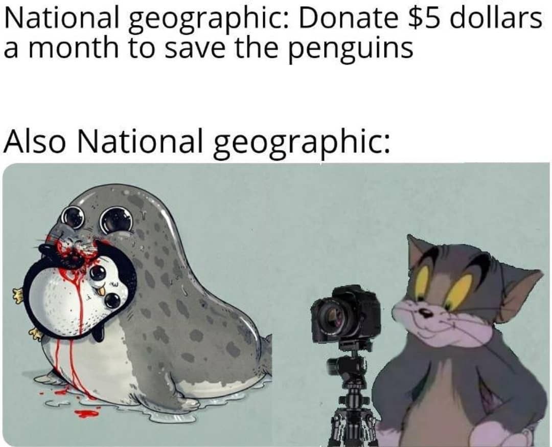 National geographic: Donate $5 dollars a month to save the penguins. Also National geographic: