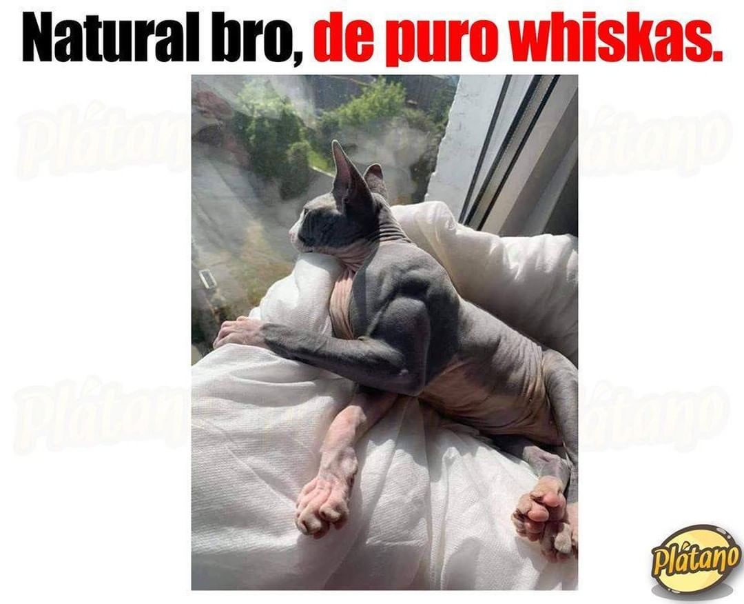 Natural bro, de Duro whiskas.