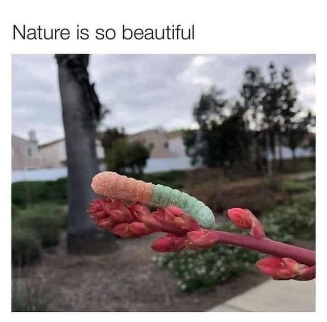 Nature is so beautibul.