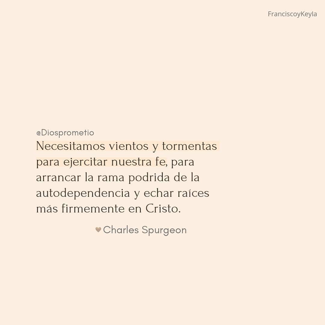 Necesitamos vientos y tormentas para ejercitar nuestra fe, para arrancar la rama podrida de la autodependencia y echar raíces más firmemente en Cristo.