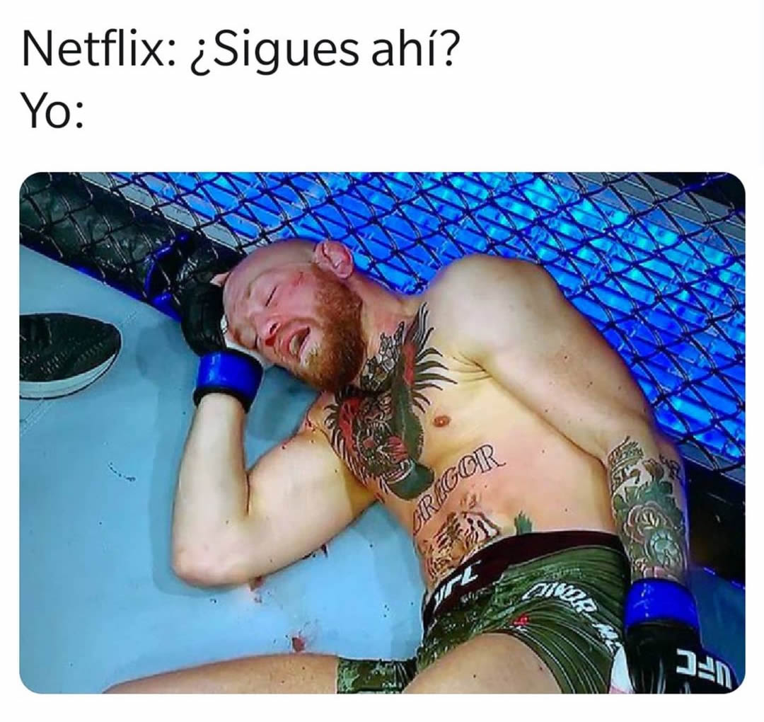 Netflix: ¿Sigues ahí?  Yo: