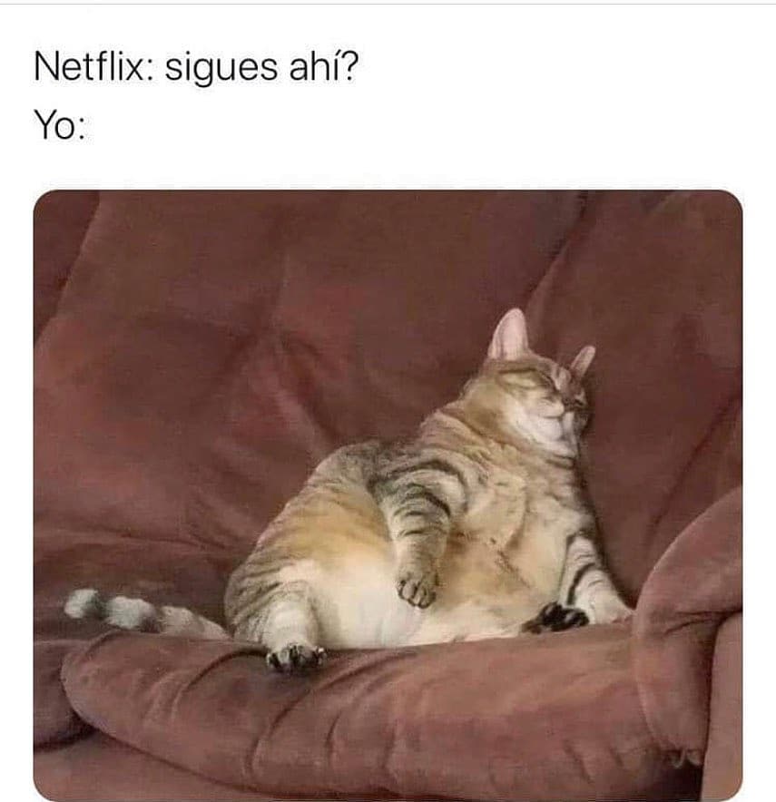 Netflix: Sigues ahí?  Yo:
