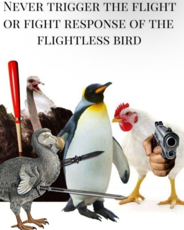 Never trigger the flight or right response of the flightless bird.