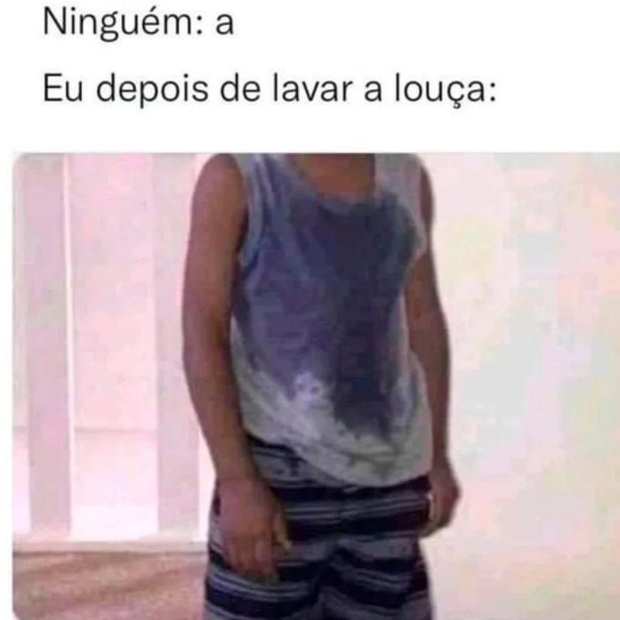 Ninguém A Eu Depois De Lavar A Louça Memes 