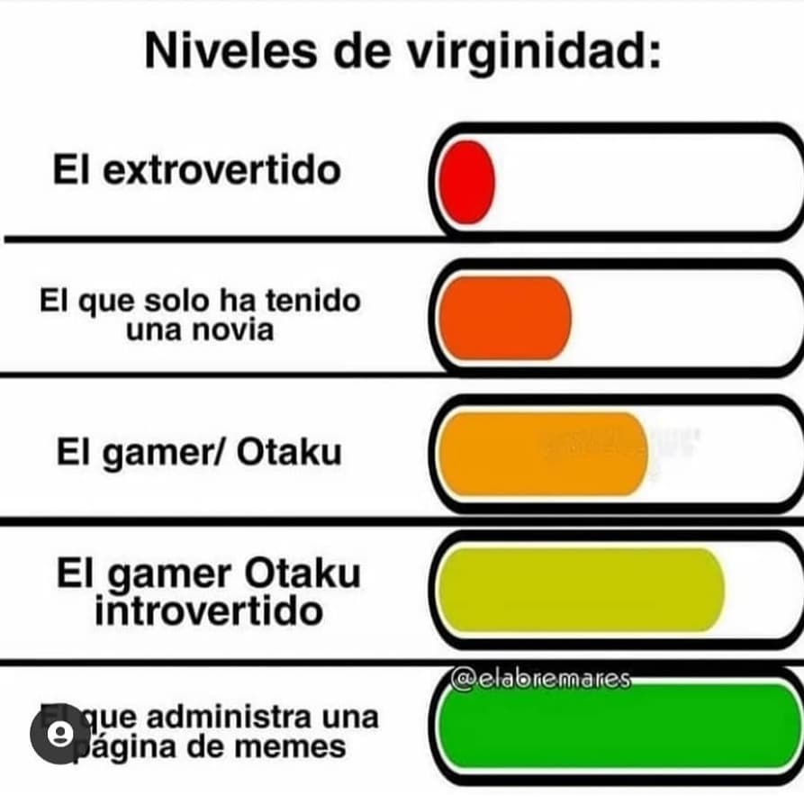 Niveles de virginidad: El extrovertido. El que solo ha tenido una novia. El gamer/ Otaku. El gamer Otaku introvertido. El que administra una página de memes.
