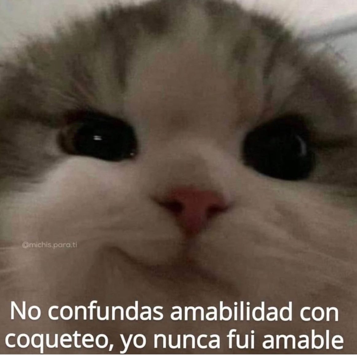 No confundas amabilidad con coqueteo, yo nunca fui amable.