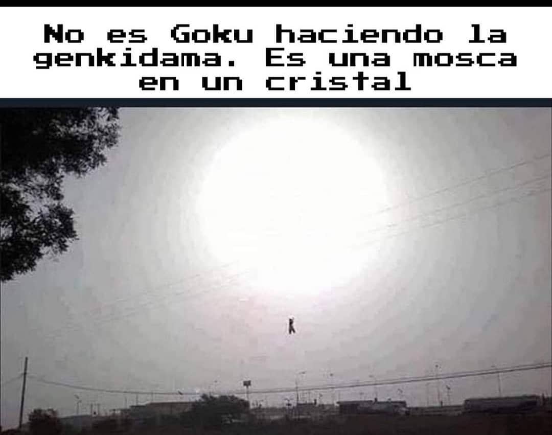 No es Goku haciendo la genkidama. Es una mosca en un cristal.