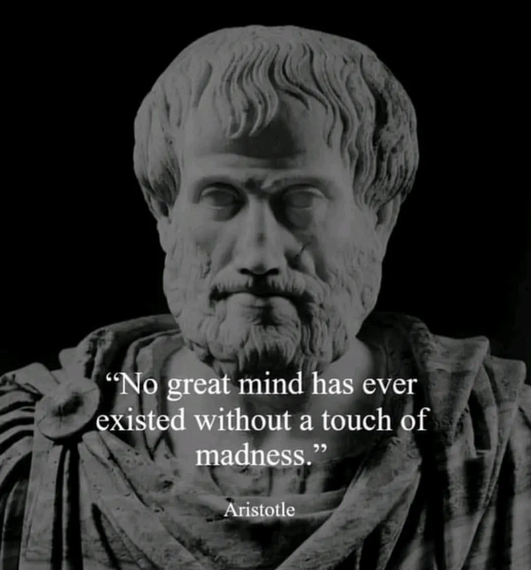 "No great mind has ever existed without a touch of madness." Aristotle.