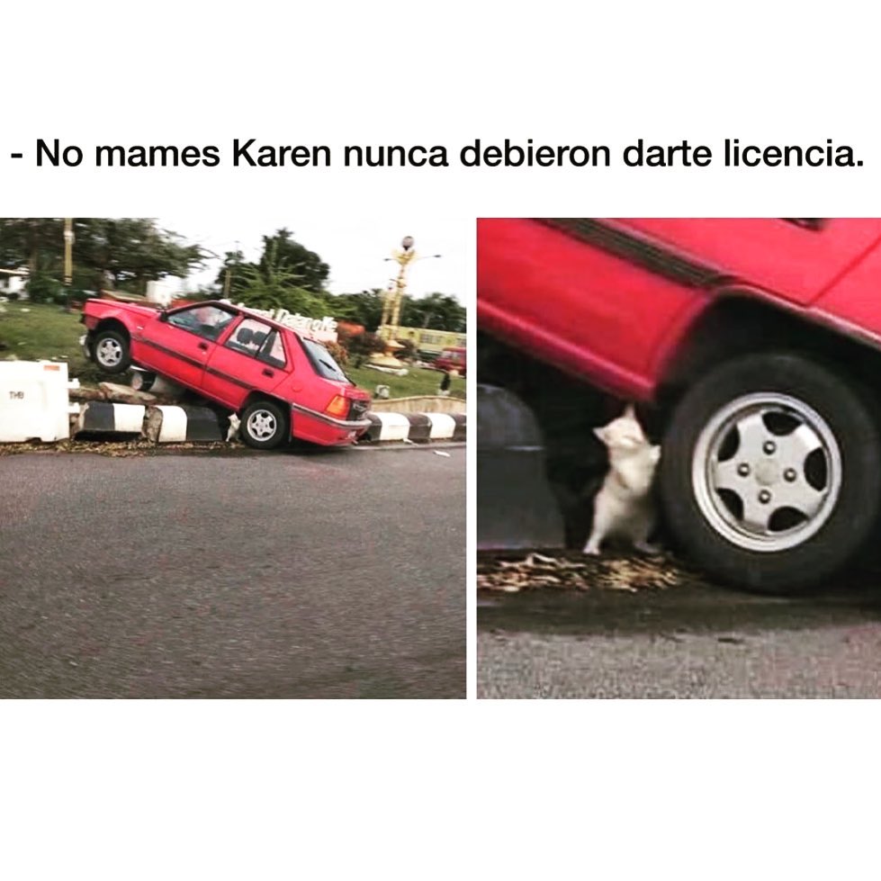 No mames Karen nunca debieron darte licencia.