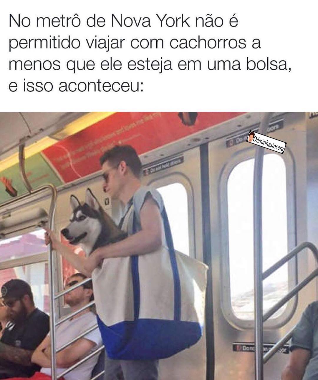 No metrô de Nova York não é permitido viajar com cachorros a menos que ele esteja em uma bolsa, e isso aconteceu: