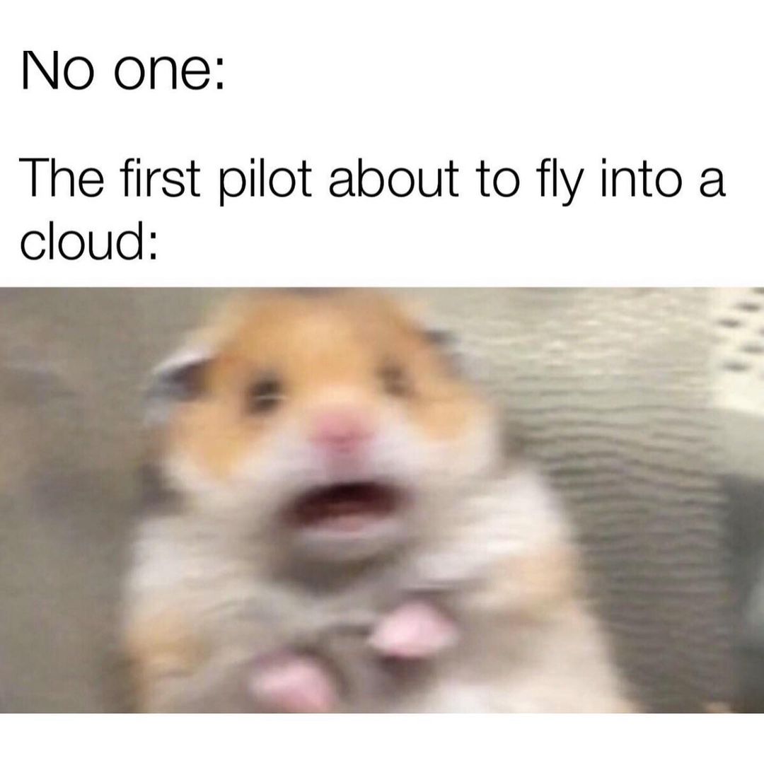 No one: The first pilot about to fly into a cloud: