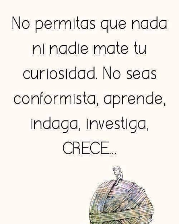 No permitas que nada ni nadie mate tu curiosidad. No seas conformista,  aprende, indaga, investiga, crece... - Frases