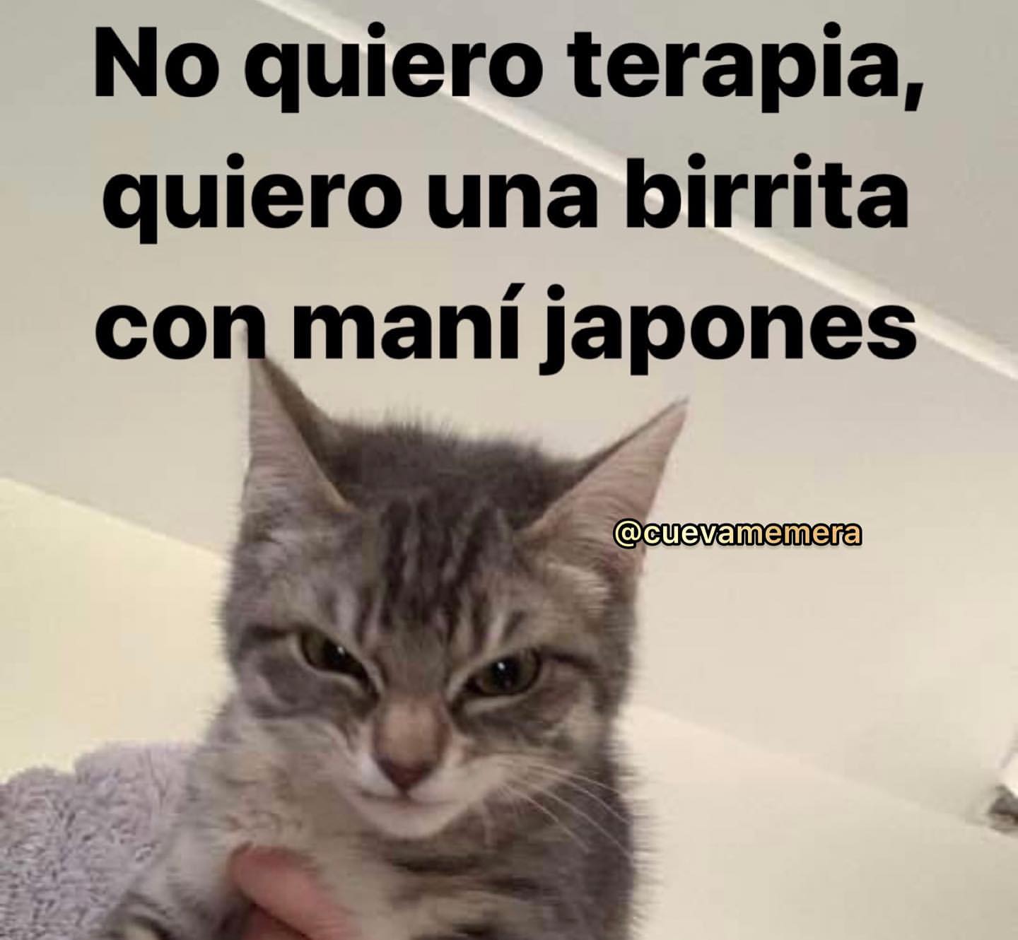 No quiero terapia, quiero una birrita con maní japones.