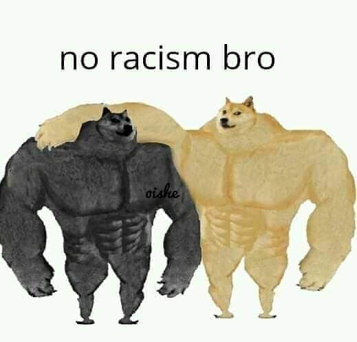No racism bro.