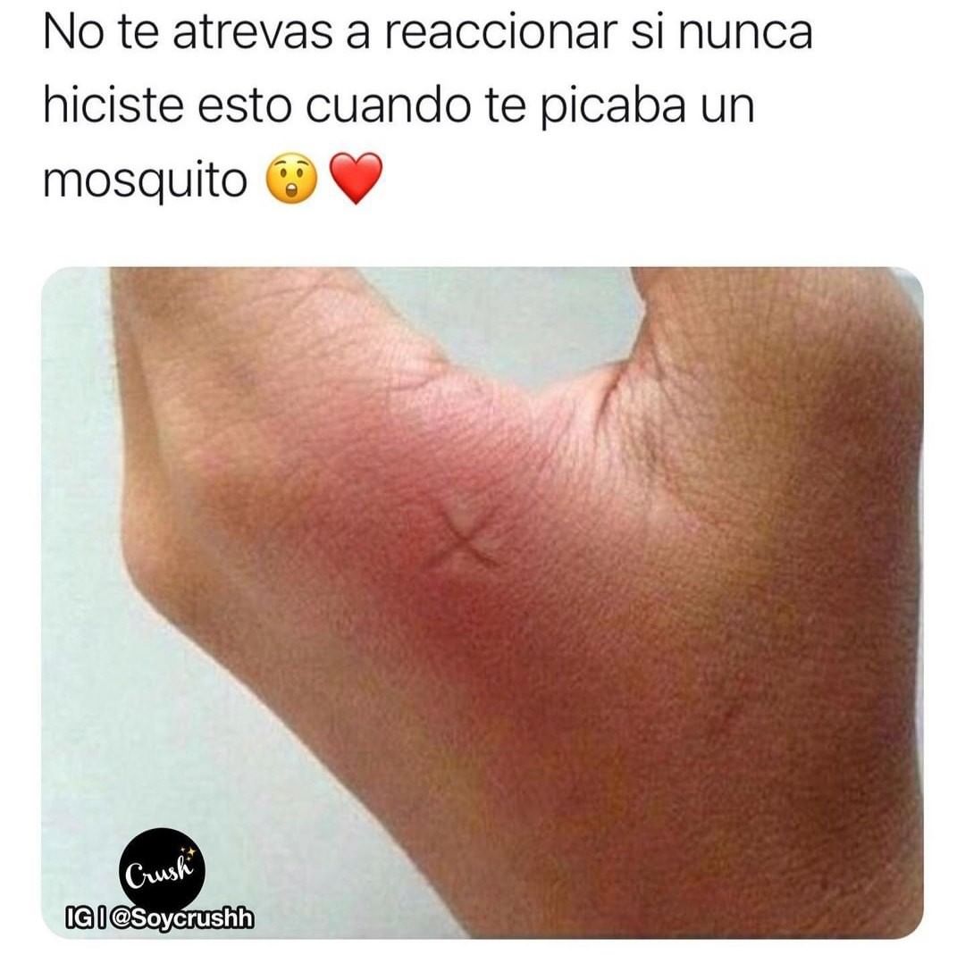 No te atrevas a reaccionar si nunca hiciste esto cuando te picaba un mosquito.