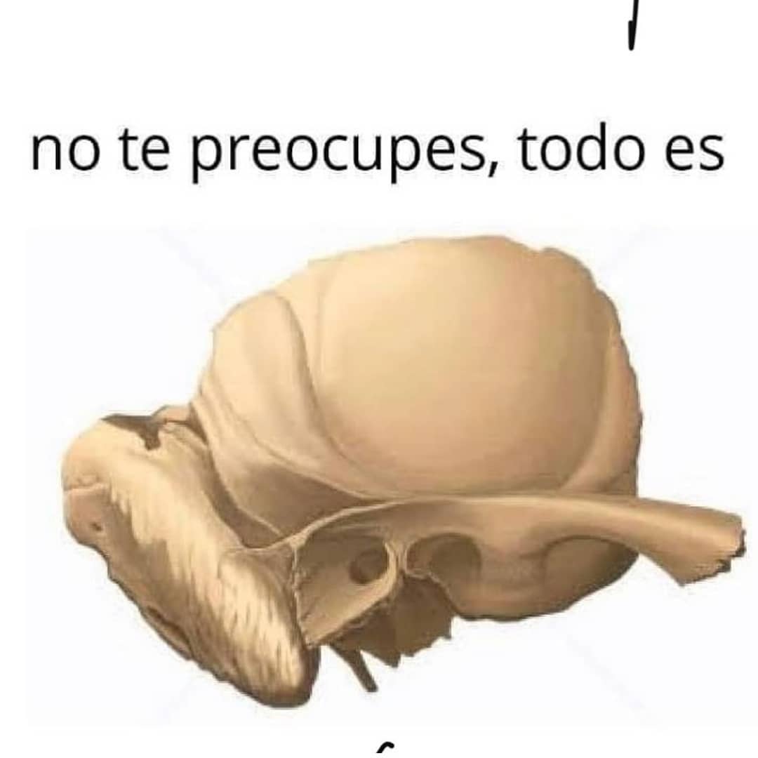 No Te Preocupes Todo Es Memes 2489