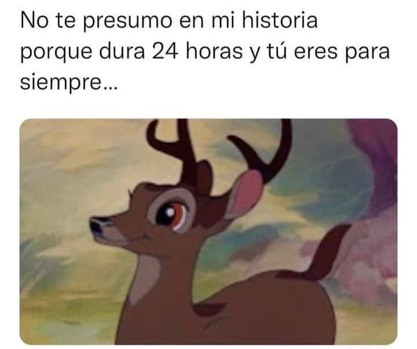 No te presumo en mi historia porque dura 24 horas y tú eres para siempre...