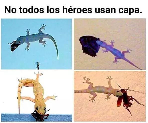 No todos los héroes usan capa.