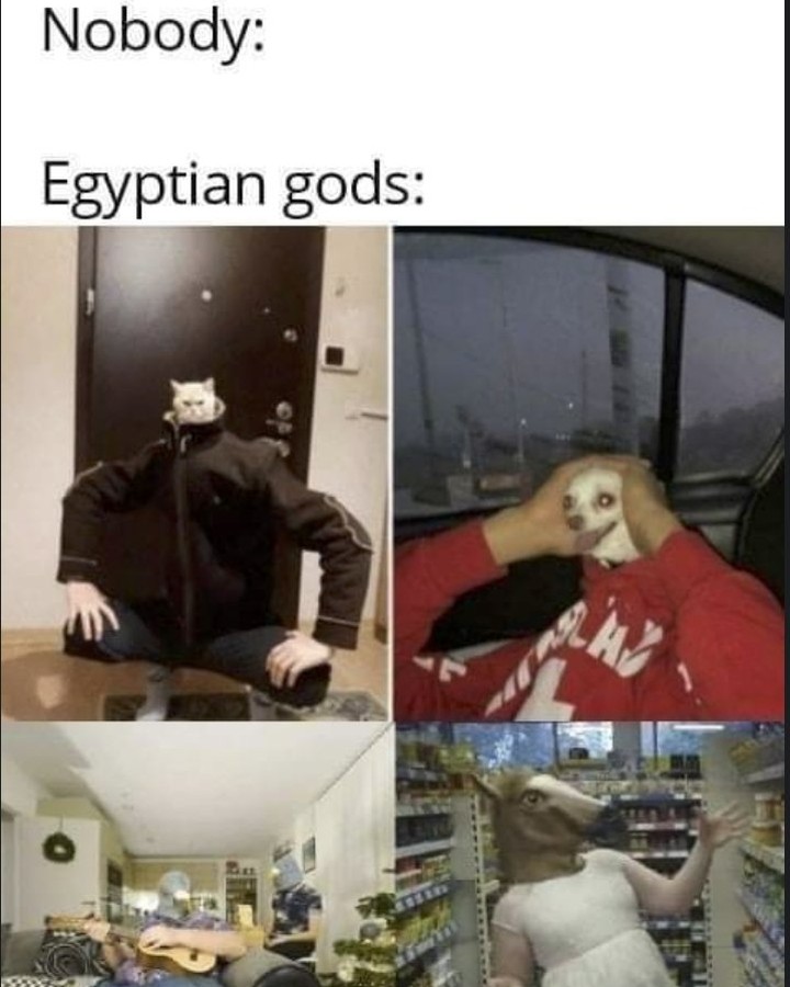 Nobody: Egyptian gods: