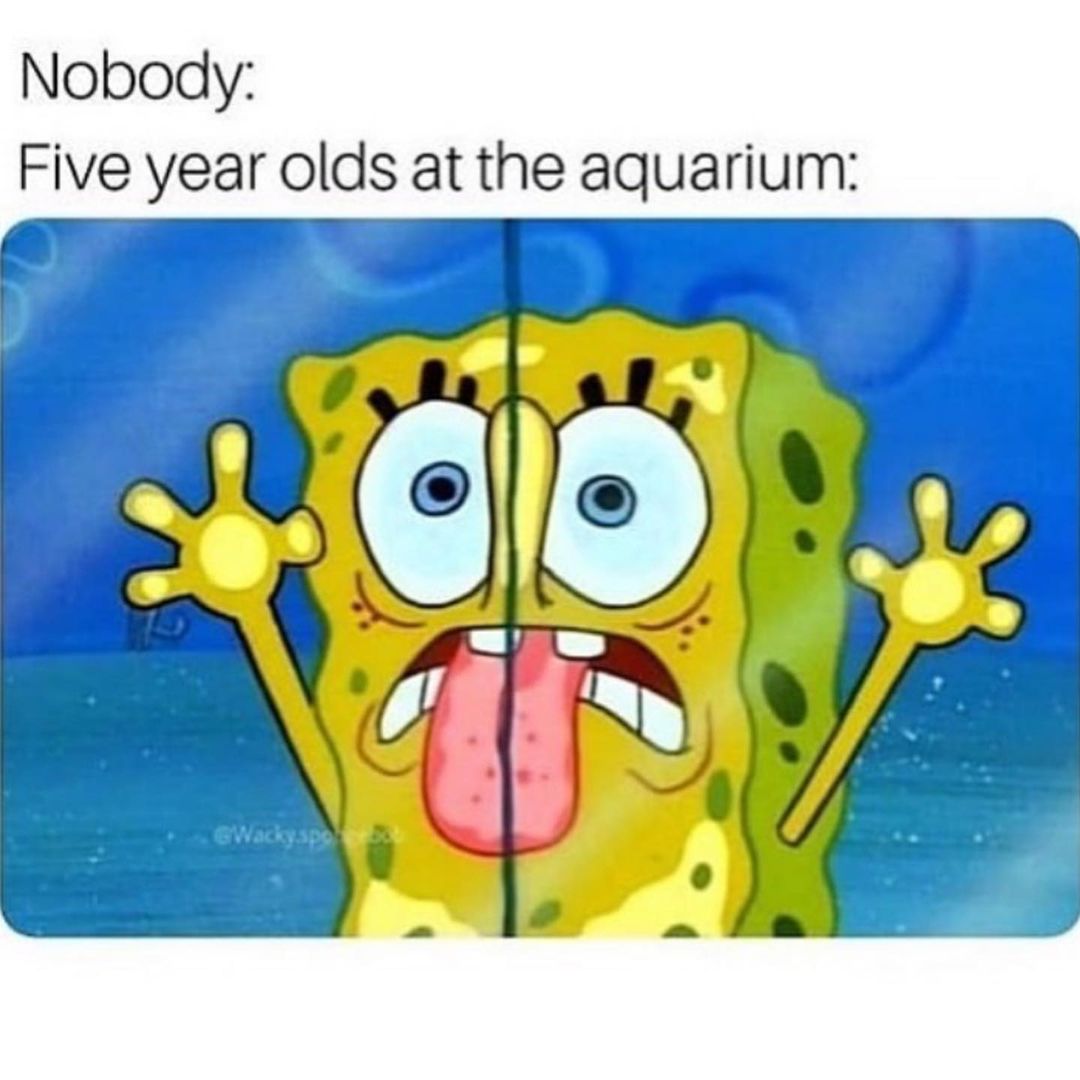 Nobody. Five year olds at the aquarium: