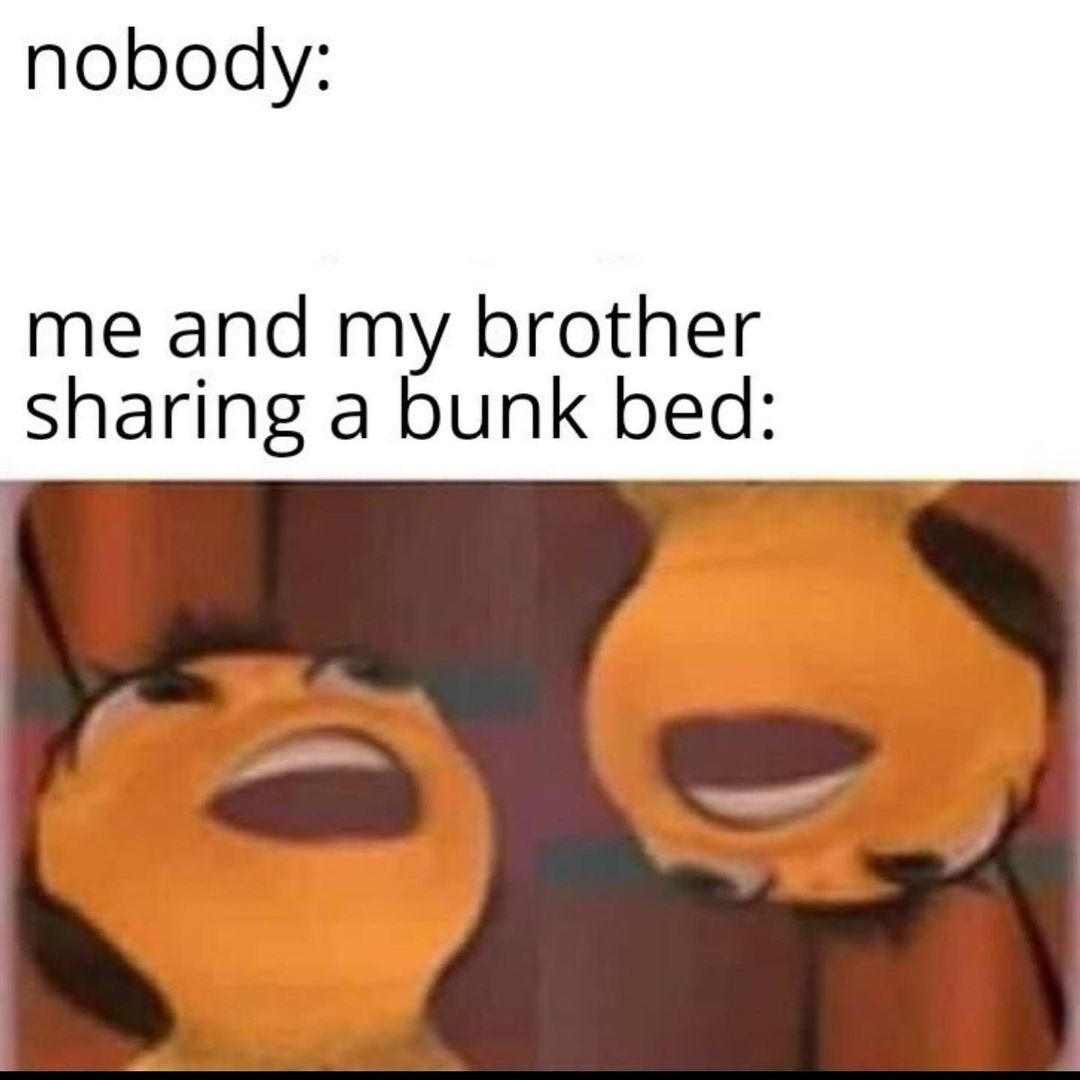 Nobody: Me and my brother sharing a bunk bed:
