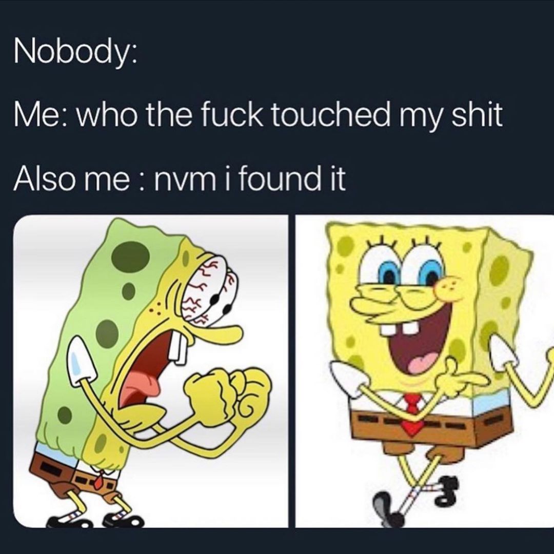 Nobody:  Me: who the fuck touched my shit.  Also me: nvm I found it.