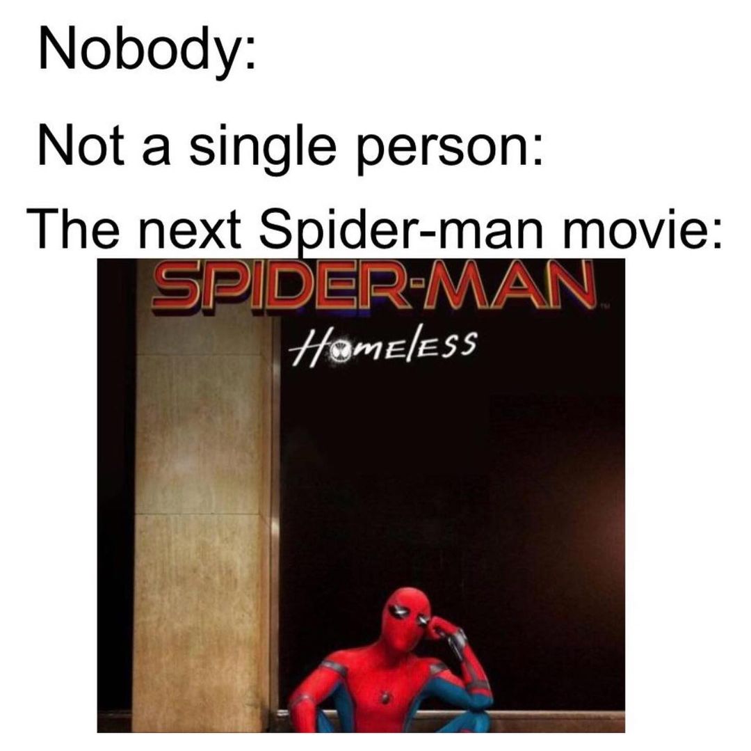 Nobody: Not a single person: The next Spider-man movie: Spider-man homeless.