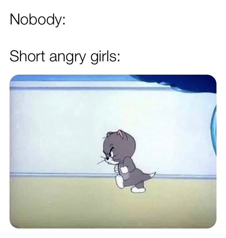 Nobody: Short angry girls: - Funny