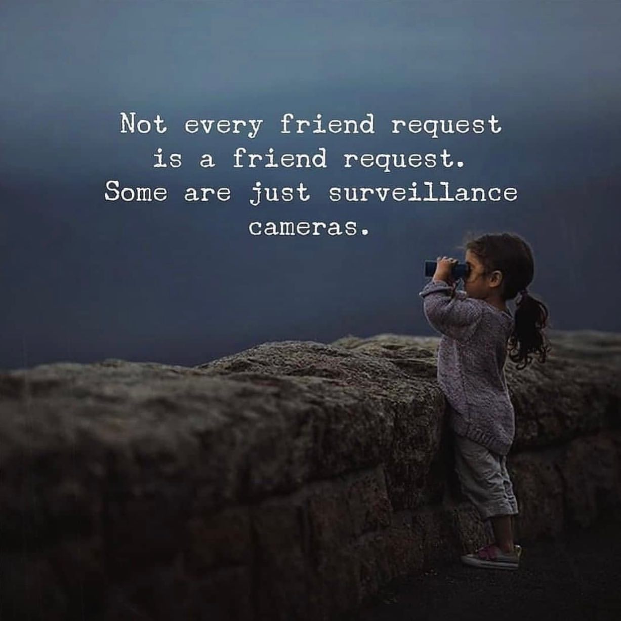 Not every friend request is a friend request. Some are just surveillance cameras.