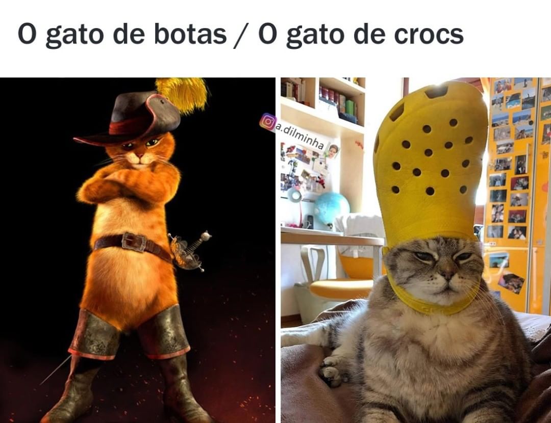 The best Gato De Botas memes :) Memedroid