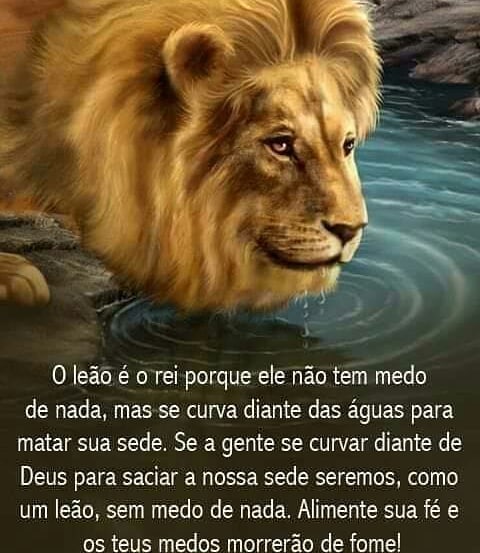 dirleiantonieti on X: Gente positiva é a que cai, levanta, sacode a poeira  e diz: Lá vou eu de novo. #dirleiantonieti #hidroginastica #terceiraidade   / X