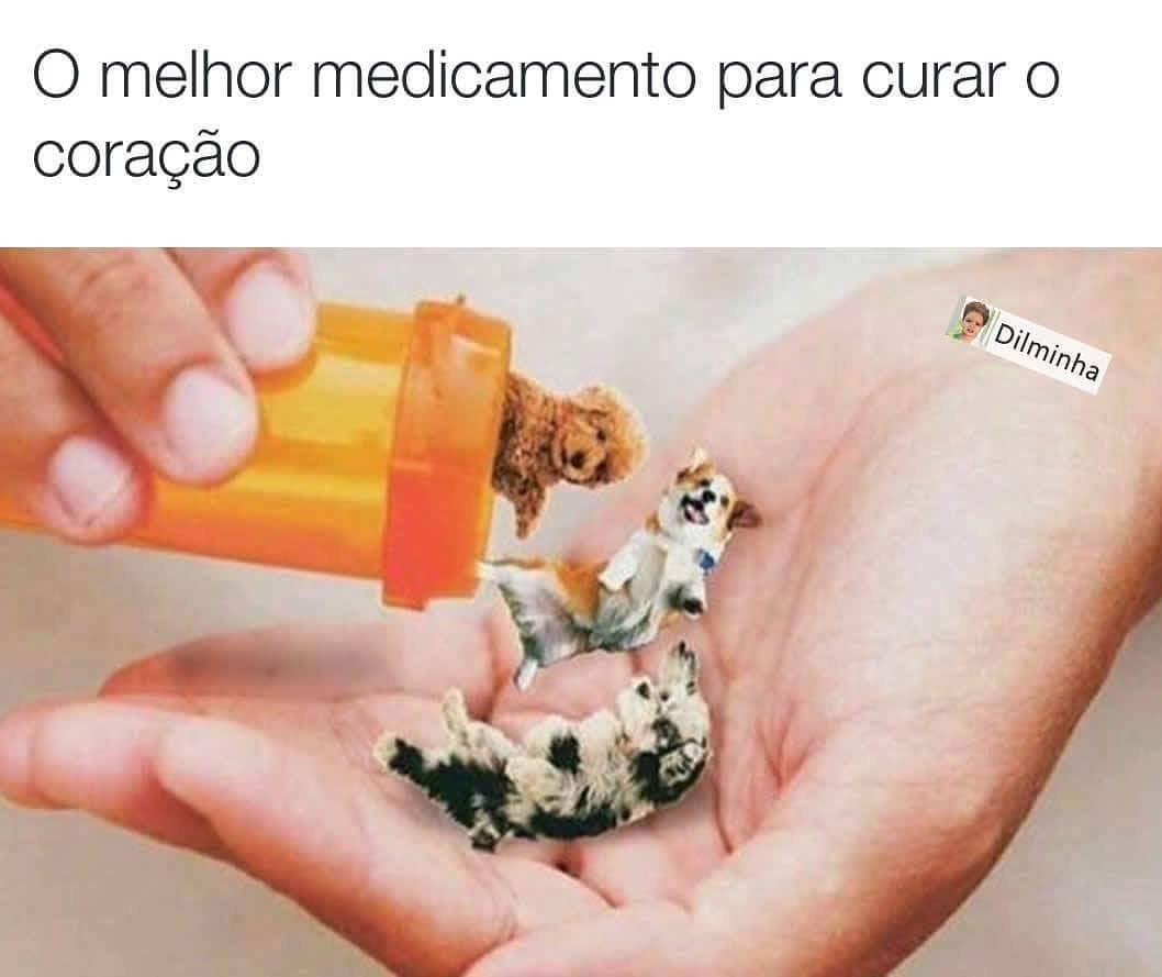 O melhor medicamento para curar o coração.