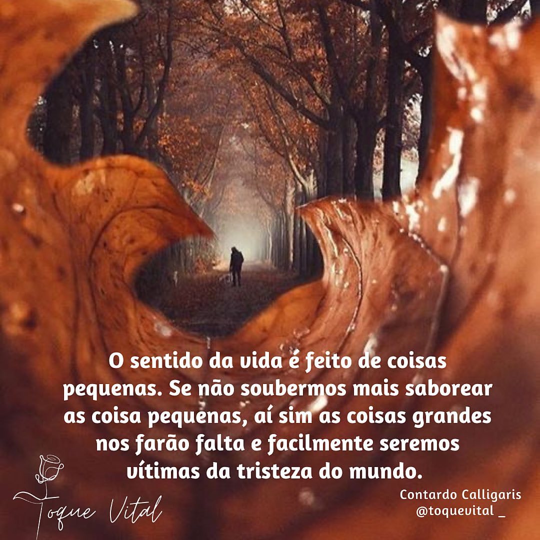 O sentido da vida é feito de coisas pequenas. Se não soubermos mais saborear as coisas pequenas, aí sim as coisas grandes nos farão falta e facilmente seremos vítimas da tristeza do mundo.