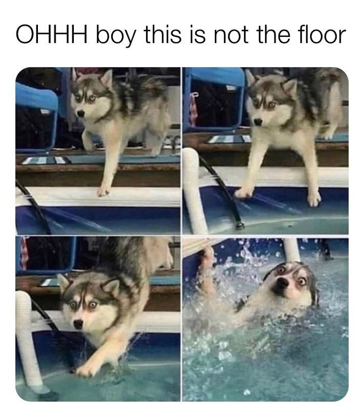 Ohhh boy this is not the floor.