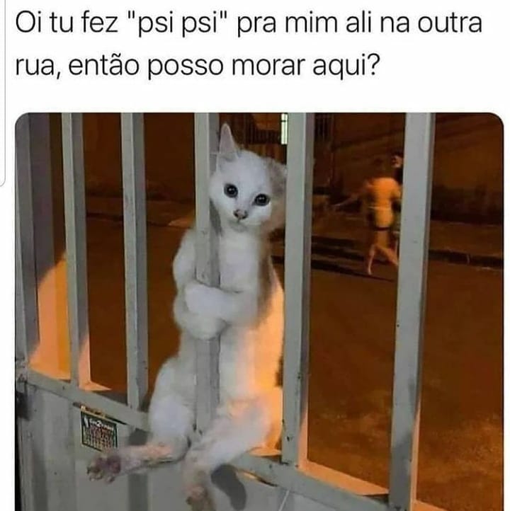 Oi tu fez "psi psi" pra mim ali na outra rua, então posso morar aqui?