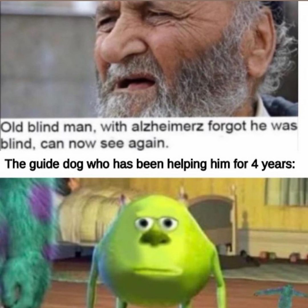 Old blind man, with alzheimerz forgot he was blind, can now see again. The guide dog who has been helping him for 4 years: