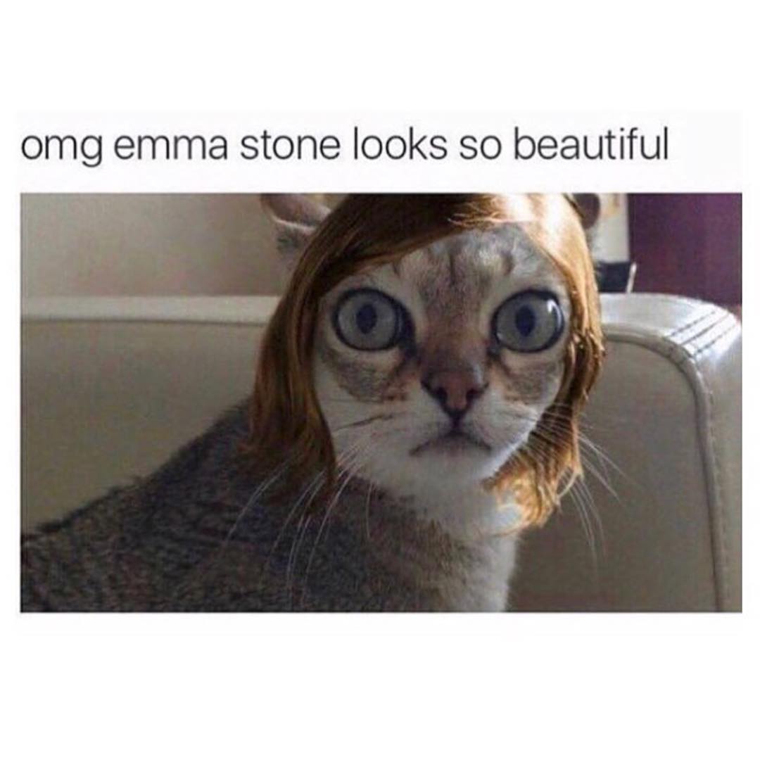 Omg Emma stone looks so beautiful.