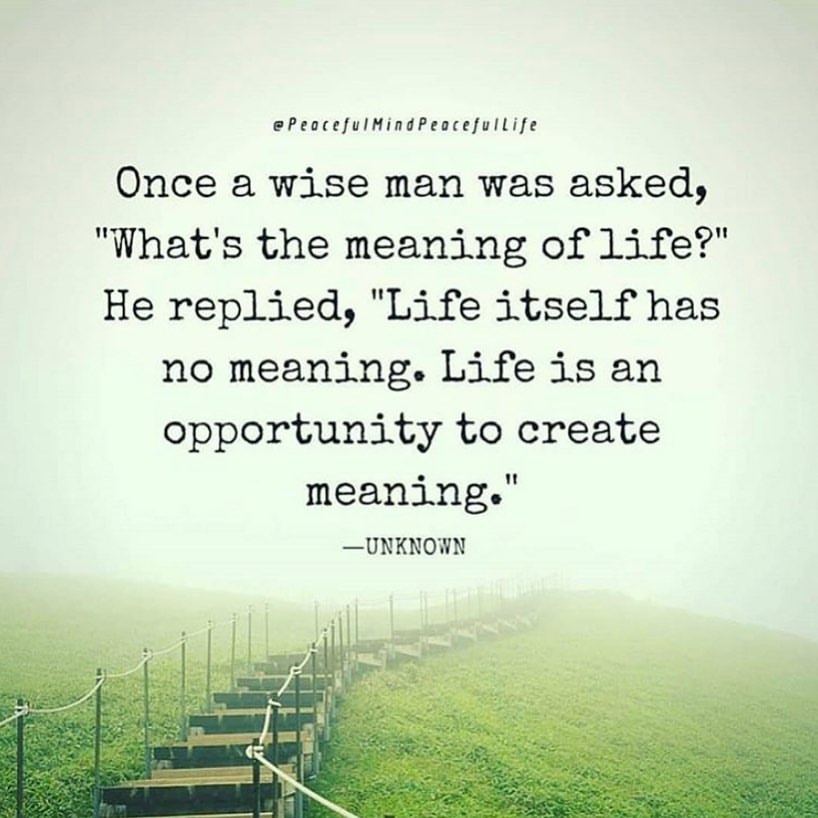 Once a wise man was asked, "What's the meaning of life?" He replied, "Life itself has no meaning. Life is an opportunity to create meaning.