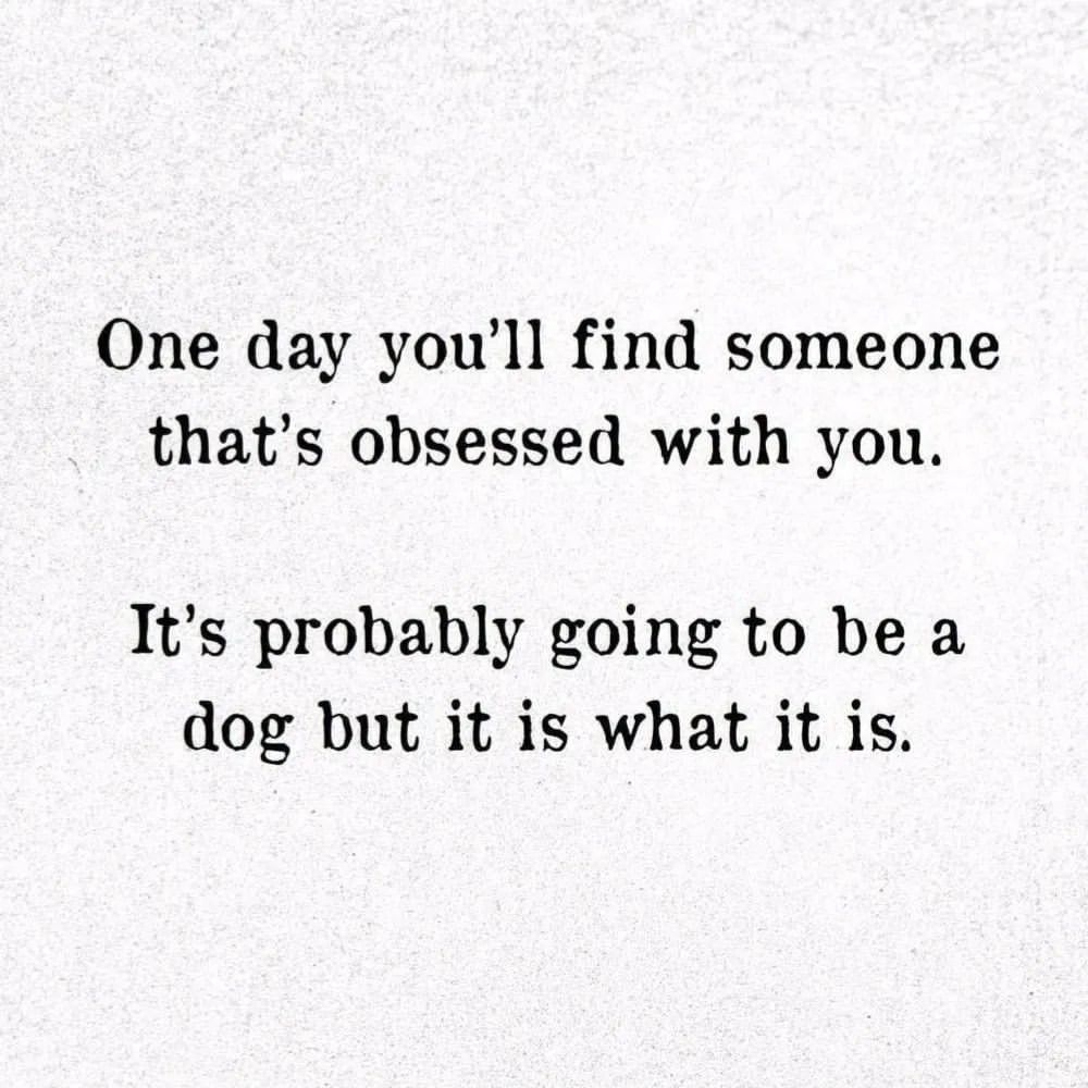 One day you'll find someone that's obsessed with you. It's probably going to be a dog but it is what it is.