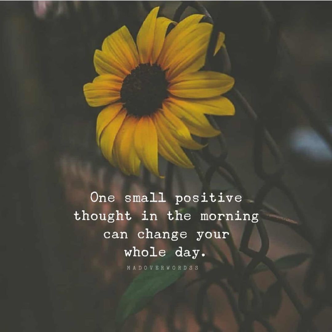 One small positive thought in the morning can change your whole day.