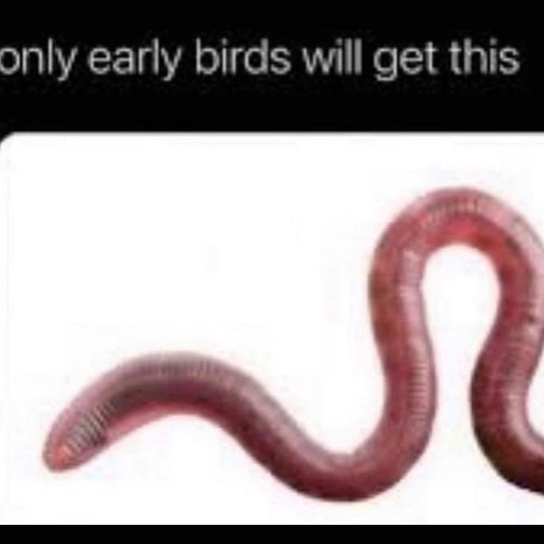 Only early birds will get this.
