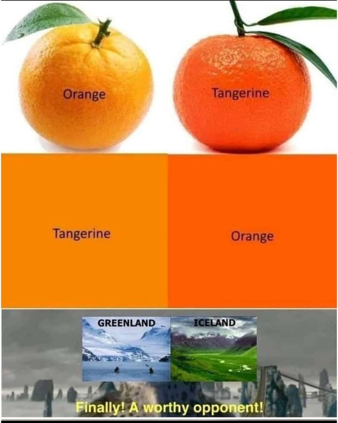 Orange. Tangerine. Tangerine. Orange.  Finally! A worthy opponent!