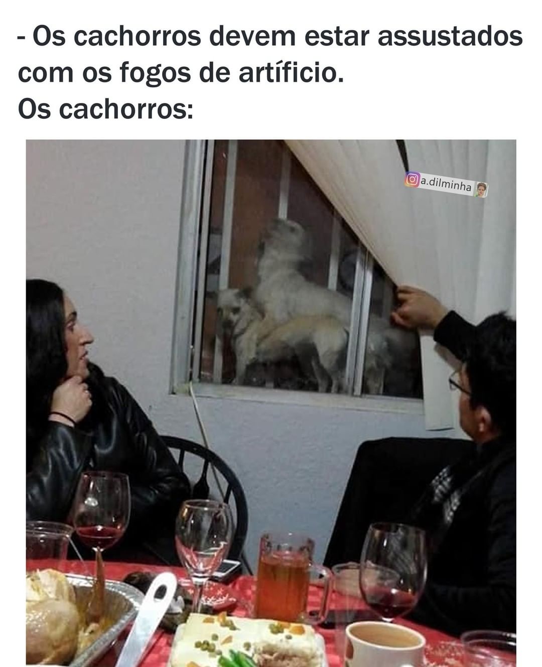 Os cachorros devem estar assustados com os fogos de artíficio. Os cachorros: