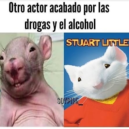 Otro actor acabado por las drogas y el alcohol. Stuart Little.