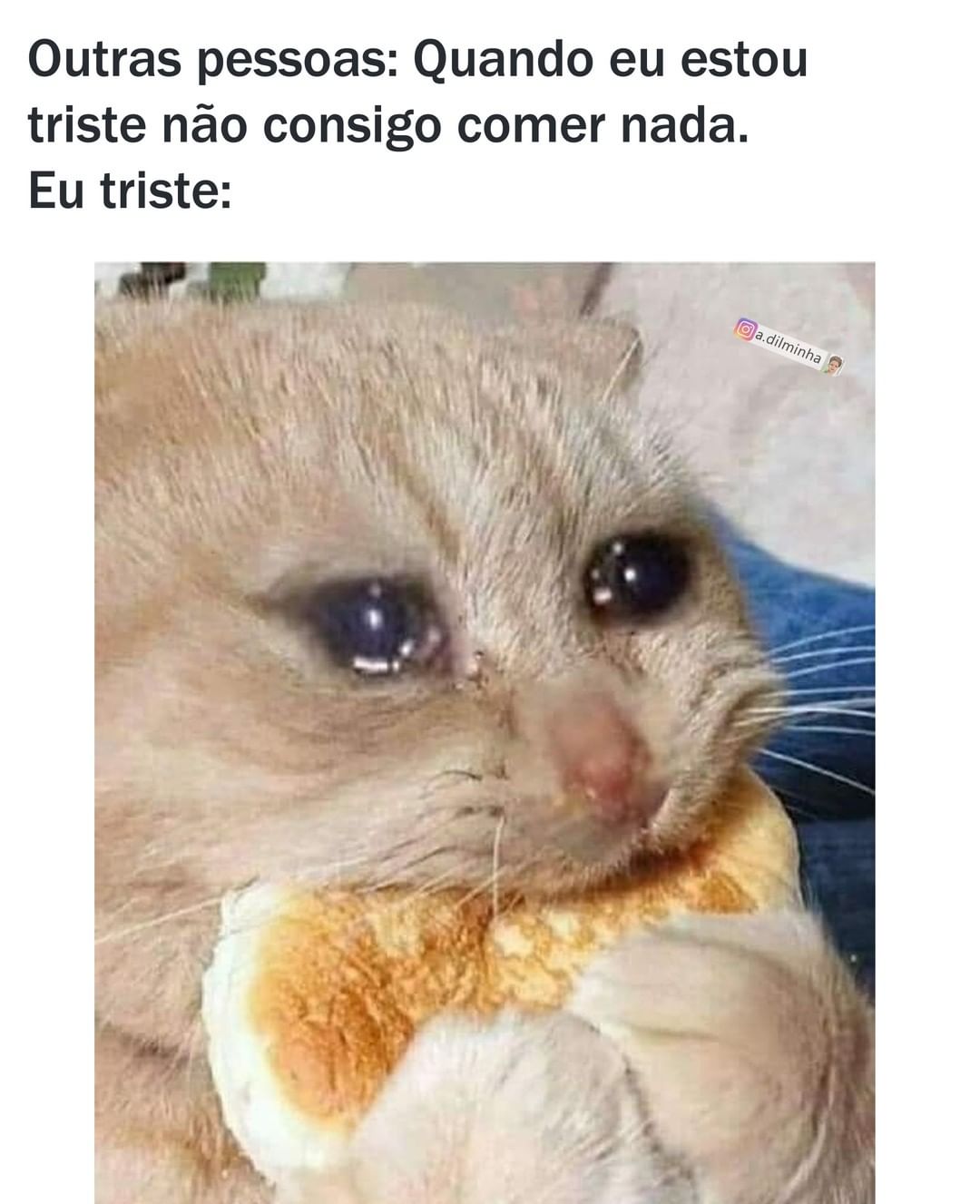 Outras Pessoas Quando Eu Estou Triste N O Consigo Comer Nada Eu Triste Memes