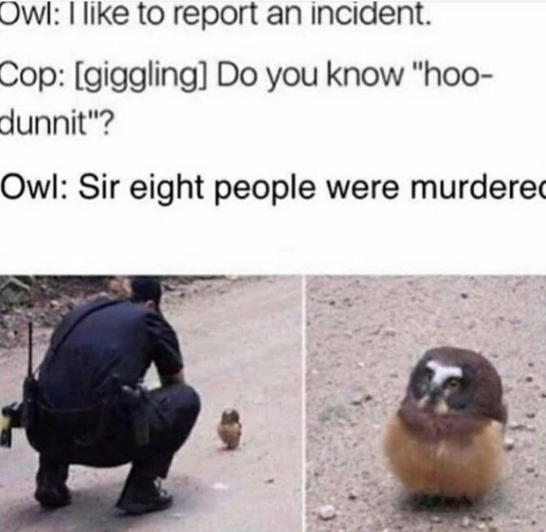 Owl: I like to report an incident. Cop: [giggling] Do you know "hoo- dunnit"? Owl: Sir eight people were murdered.