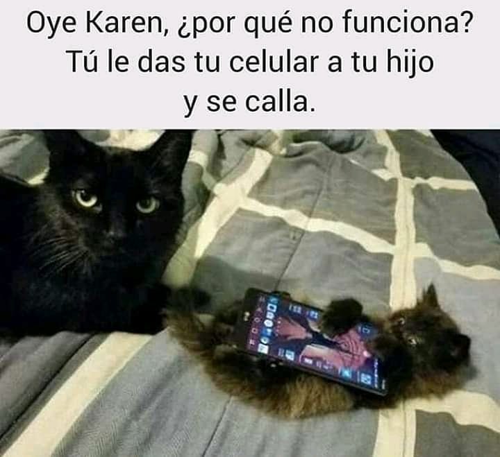 Oye Karen, ¿por qué no funciona?  Tú le das tu celular a tu hijo y se calla.