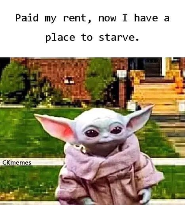 Paid my rent, now I have a place to starve.