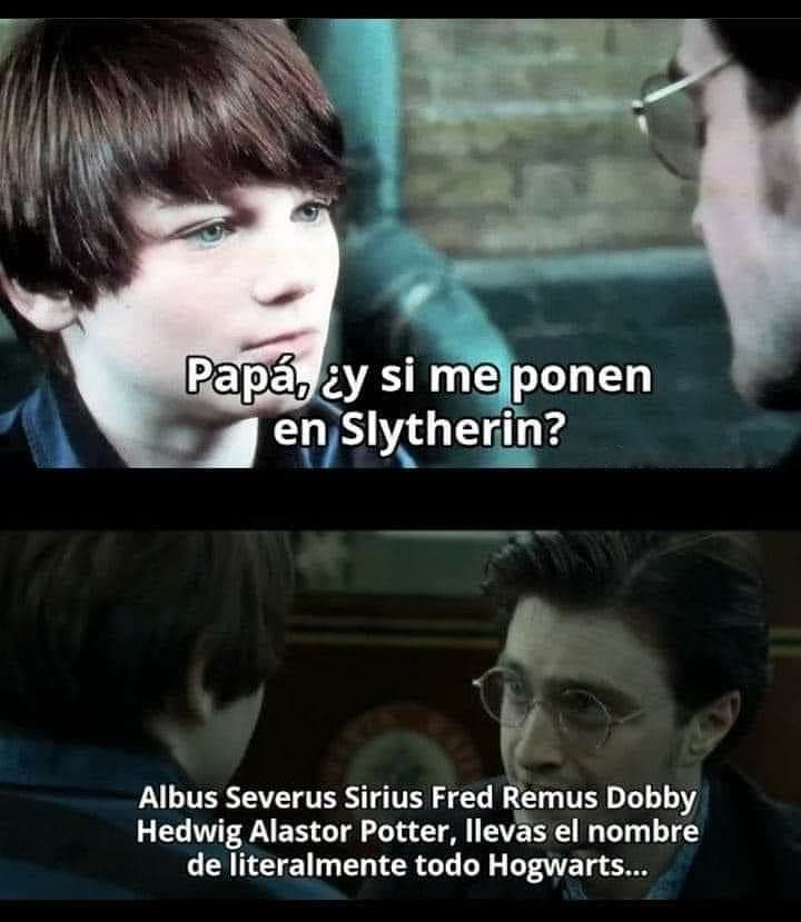 Papá, ¿y si me ponen en Slytherin?  Albus Severus Sirius Fred Remus Dobby Hedwig Alastor Potter, llevas el nombre de literalmente todo Hogwarts...