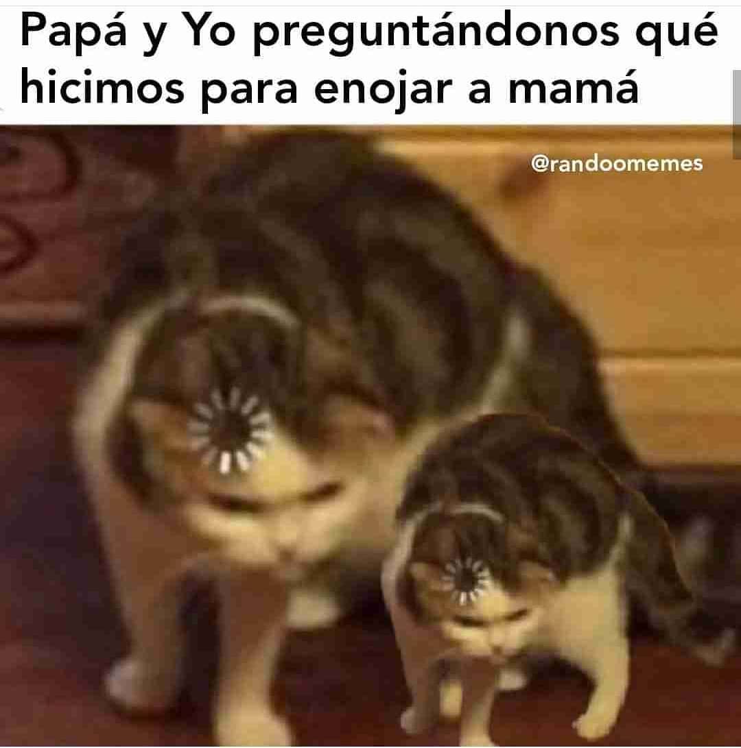 Que Agradable Sujeto Nota Señor Padre Soy El Maestro De Su Hijo Y No